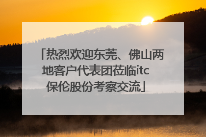 热烈欢迎东莞、佛山两地客户代表团莅临itc保伦股份考察交流