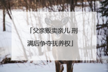 父亲贩卖亲儿 刑满后争夺抚养权