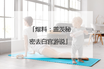 爆料：盖茨秘密去白宫游说