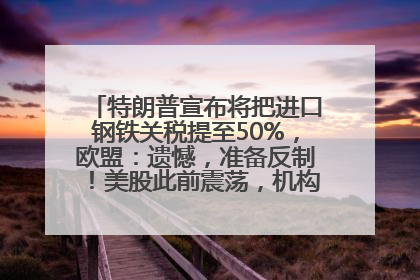 特朗普宣布将把进口钢铁关税提至50%，欧盟：遗憾，准备反制！美股此前震荡，机构：美元正进入熊市