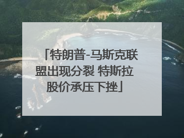 特朗普-马斯克联盟出现分裂 特斯拉股价承压下挫