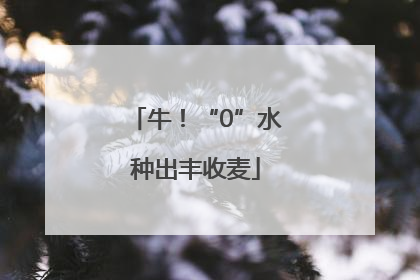 牛！“0”水种出丰收麦