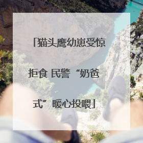 猫头鹰幼崽受惊拒食 民警“奶爸式”暖心投喂