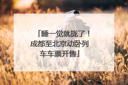 睡一觉就拢了！成都至北京动卧列车车票开售