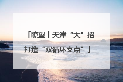 瞭望丨天津“大”招打造“双循环支点”