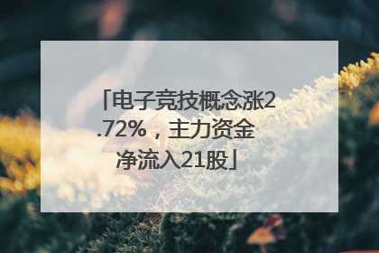 电子竞技概念涨2.72%，主力资金净流入21股