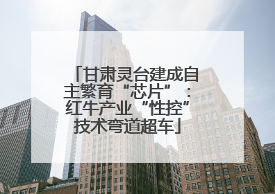 甘肃灵台建成自主繁育“芯片”：红牛产业“性控”技术弯道超车