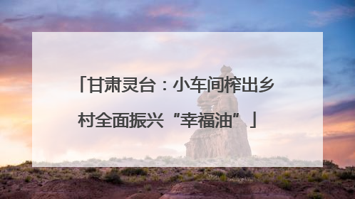 甘肃灵台：小车间榨出乡村全面振兴“幸福油”