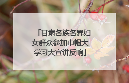 甘肃各族各界妇女群众参加巾帼大学习大宣讲反响