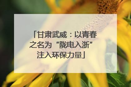 甘肃武威：以青春之名为“陇电入浙”注入环保力量