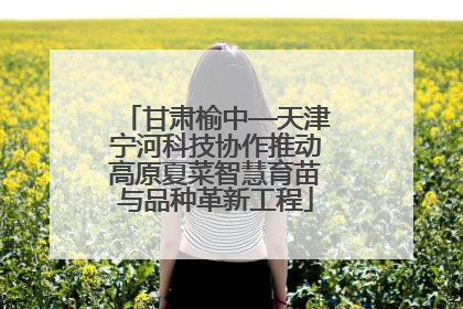 甘肃榆中—天津宁河科技协作推动高原夏菜智慧育苗与品种革新工程