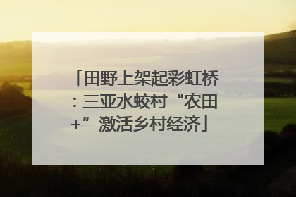 田野上架起彩虹桥：三亚水蛟村“农田+”激活乡村经济