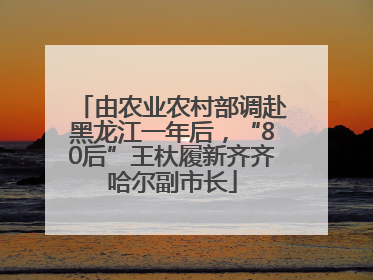 由农业农村部调赴黑龙江一年后，“80后”王杕履新齐齐哈尔副市长