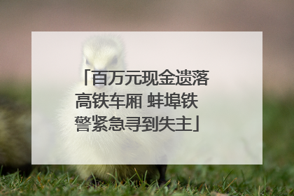 百万元现金遗落高铁车厢 蚌埠铁警紧急寻到失主