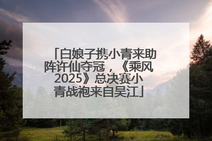 白娘子携小青来助阵许仙夺冠，《乘风2025》总决赛小青战袍来自吴江