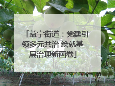 益宁街道：党建引领多元共治 绘就基层治理新画卷