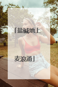 盐碱地上麦浪涌