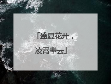 盛夏花开，凌霄攀云