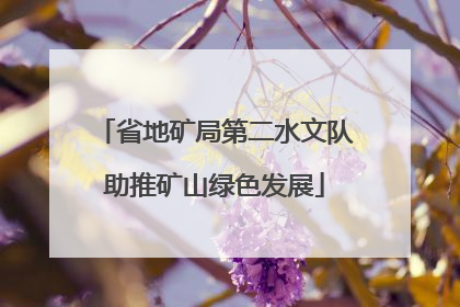 省地矿局第二水文队助推矿山绿色发展