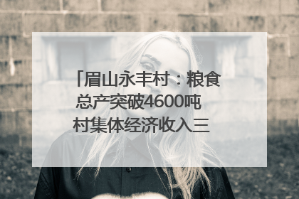 眉山永丰村：粮食总产突破4600吨 村集体经济收入三年倍增｜牵挂的村