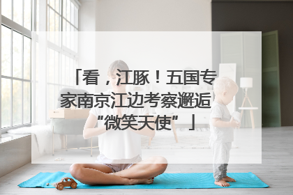 看，江豚！五国专家南京江边考察邂逅“微笑天使”
