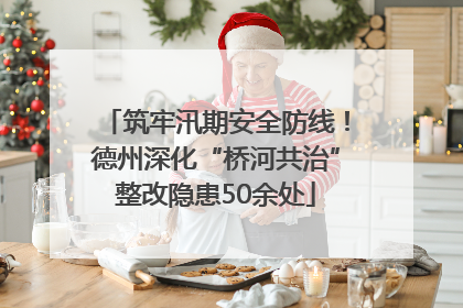 筑牢汛期安全防线！德州深化“桥河共治”整改隐患50余处
