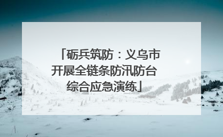 砺兵筑防：义乌市开展全链条防汛防台综合应急演练