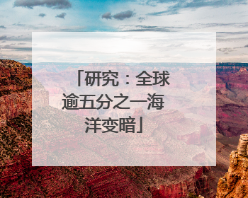 研究：全球逾五分之一海洋变暗