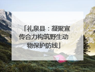 礼泉县：凝聚宣传合力构筑野生动物保护防线