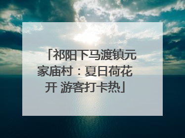 祁阳下马渡镇元家庙村：夏日荷花开 游客打卡热