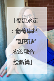 福建永定：葡萄串起“甜蜜链” 农旅融合绘新篇