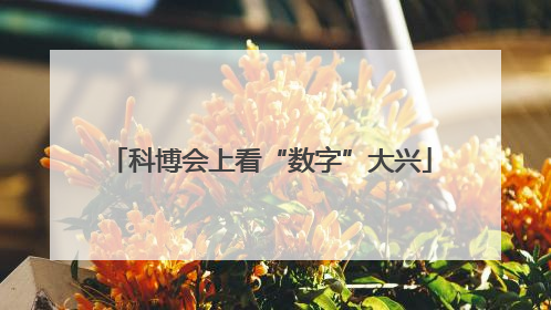 科博会上看“数字”大兴