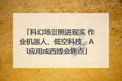 科幻场景照进现实 作业机器人、低空科技、AI应用成西博会焦点