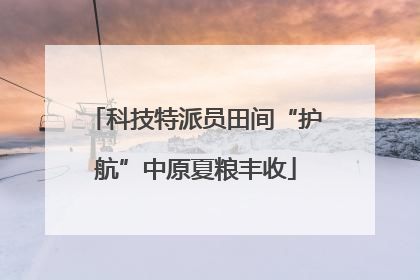 科技特派员田间“护航”中原夏粮丰收