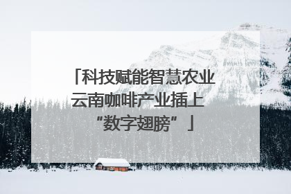科技赋能智慧农业 云南咖啡产业插上“数字翅膀”