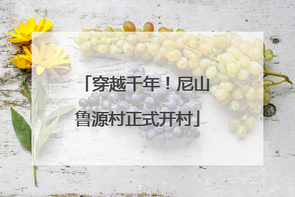 穿越千年！尼山鲁源村正式开村