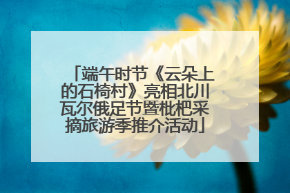 端午时节《云朵上的石椅村》亮相北川瓦尔俄足节暨枇杷采摘旅游季推介活动