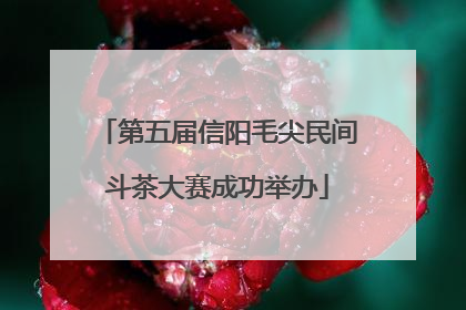 第五届信阳毛尖民间斗茶大赛成功举办