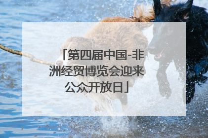 第四届中国-非洲经贸博览会迎来公众开放日