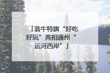 翁牛特旗“好吃好玩”亮相通州“运河西岸”