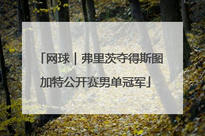 网球｜弗里茨夺得斯图加特公开赛男单冠军