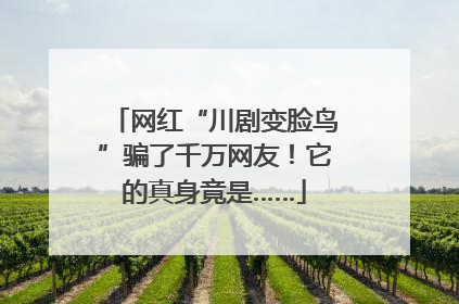 网红“川剧变脸鸟”骗了千万网友！它的真身竟是……