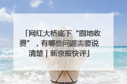 网红大桥底下“圈地收费”，有哪些问题需要说清楚｜新京报快评