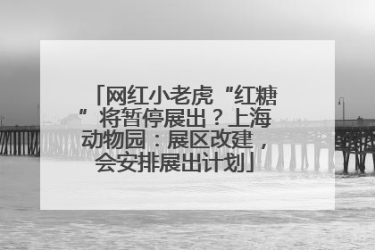 网红小老虎“红糖”将暂停展出？上海动物园：展区改建，会安排展出计划