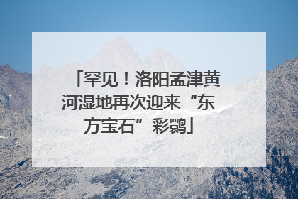 罕见！洛阳孟津黄河湿地再次迎来“东方宝石”彩鹮