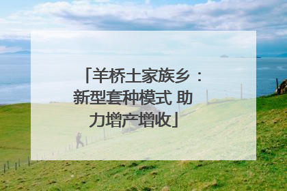 羊桥土家族乡：新型套种模式 助力增产增收
