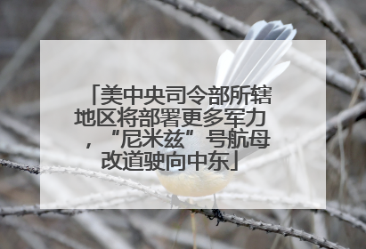 美中央司令部所辖地区将部署更多军力，“尼米兹”号航母改道驶向中东