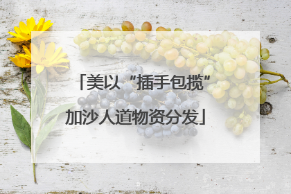 美以“插手包揽”加沙人道物资分发