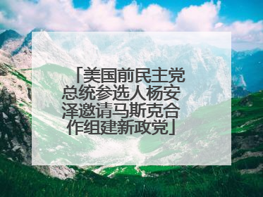 美国前民主党总统参选人杨安泽邀请马斯克合作组建新政党