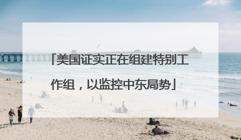 美国证实正在组建特别工作组，以监控中东局势